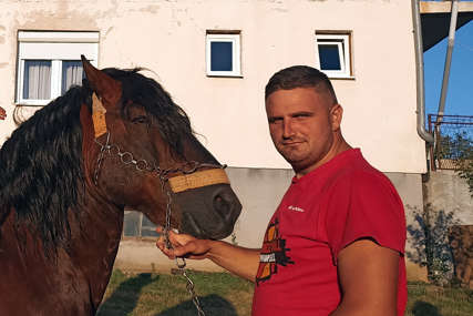 Konji odmjeravaju snagu: Porodica Bukva organizuje Štraparijadu u Drvaru