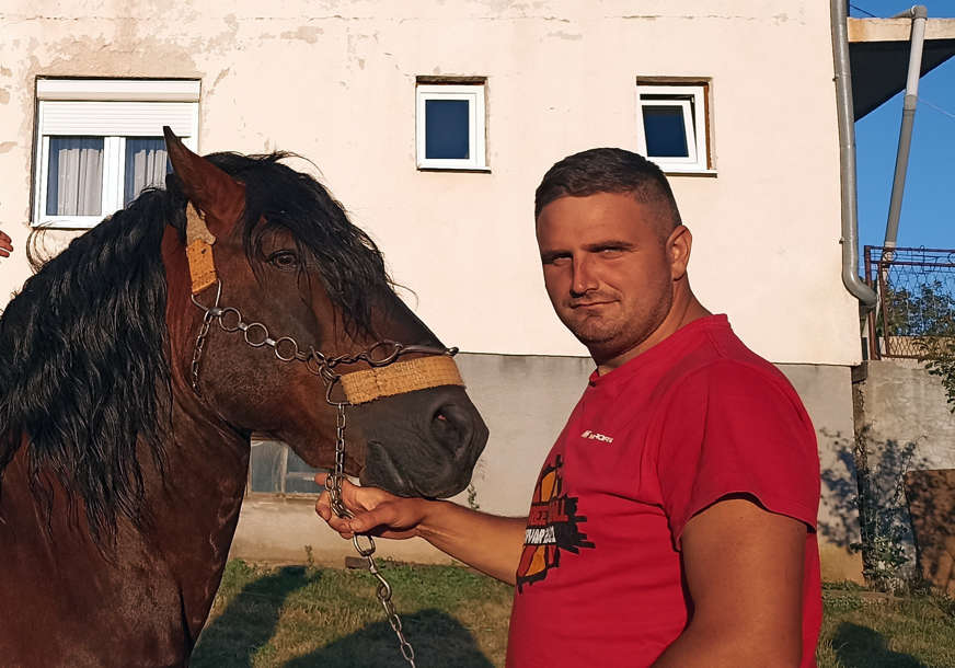 Konji odmjeravaju snagu: Porodica Bukva organizuje Štraparijadu u Drvaru