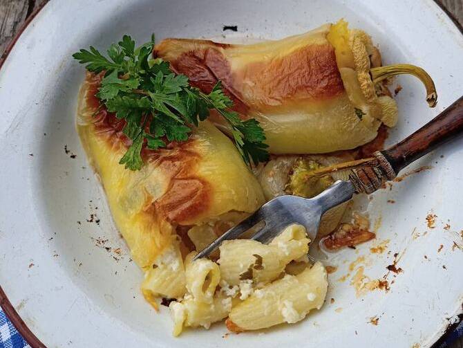 Paprike punjene makaronima, ručak koji ćete voljeti