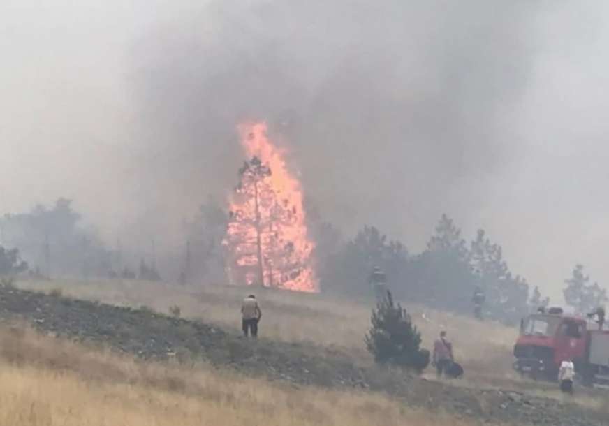 Ugroženo stanište velike droplje: Izbio veliki požar na području zaštićenog rezervata