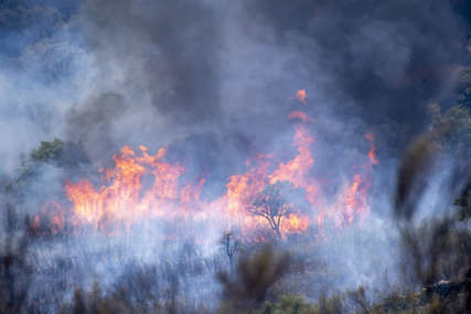 VJETAR RASPIRUJE VATRU Bukti veliki požar na granici Slovenije sa Italijom, na terenu skoro 200 vatrogasaca