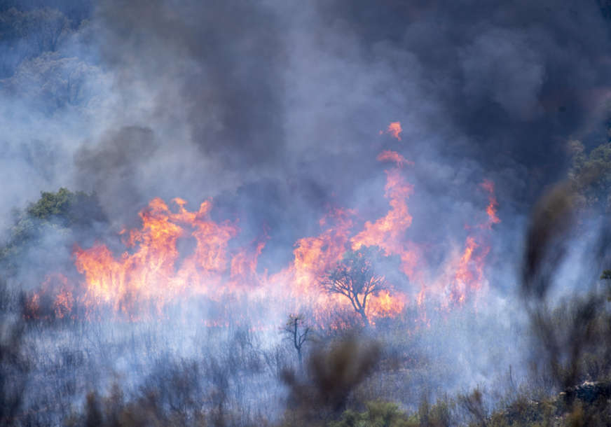 Vatru gase 2 kanadera: Veliki požar na pulskom području