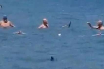 Drama u poznatom turskom ljetovalištu: Turisti štapom udarali morsku neman (VIDEO)