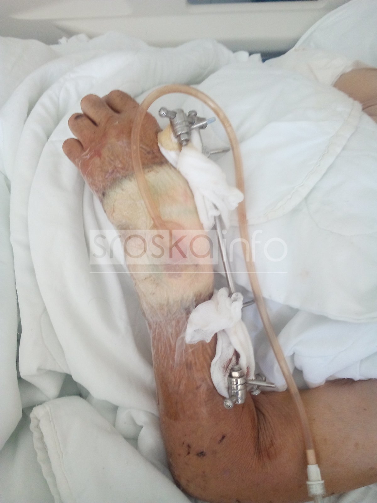 FOTO: USTUPLJENA FOTOGRAFIJA