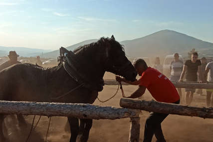 Konji odmjeravaju snagu: Na "Štraparijadi" kod Drvara oko 1.000 posjetilaca