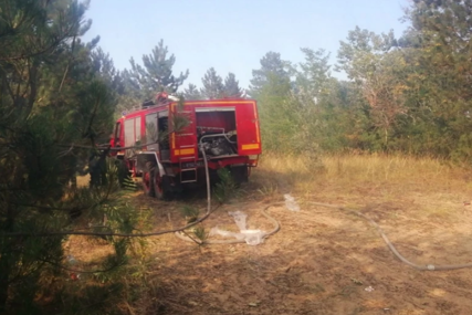 Ugašena vatrena stihija na Fruškoj Gori: Istragom utvrđeno šta je uzrok požara