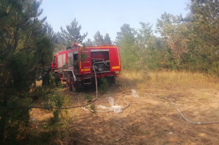 Ugašena vatrena stihija na Fruškoj Gori: Istragom utvrđeno šta je uzrok požara