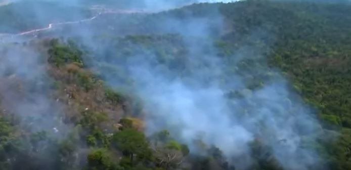 Prijeti uništavanje najveće prašume na svijetu: U Amazoniji zabilježen dan sa najviše šumskih požara u zadnjih 15 godina