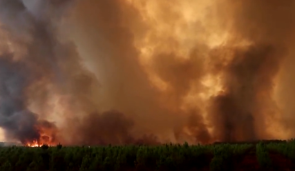 Požari usljed velikih temperatura: Vatra zahvatila više od 250 hektara šume