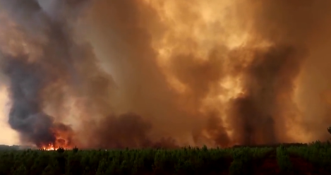 Požari usljed velikih temperatura: Vatra zahvatila više od 250 hektara šume