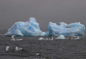 Sedam odsto ispod prosjeka: Dostignuta najniža vrijednost antarktičkog leda