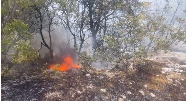 I dalje gori požar u Vrbanji: Mještanin palio njivu pa se vatra proširila
