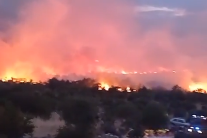 Kritična situacija u Neumu: Vatrogasci se bore sa požarom, vatra se približila kućama (VIDEO, FOTO)