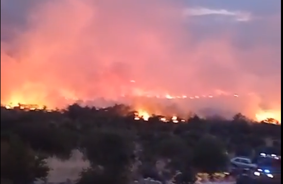 Veliki požar kod Bara: Crni dim iznad Crvene plaže, gori rastinje blizu kuća (FOTO)