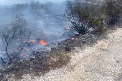 Požar u Neumu se pogoršava: Aviona još nema, vatrogasci se bore sami (VIDEO)