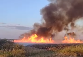 Požar kod Zrenjanina: Gusti dim kulja ka nebu (VIDEO)