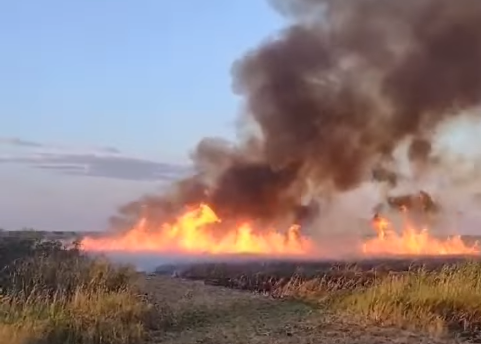 Požar kod Zrenjanina: Gusti dim kulja ka nebu (VIDEO)