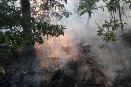 DIM POKRIO VRŠAC Buknuo požar na planini, vjetar raspiruje vatru (FOTO, VIDEO)