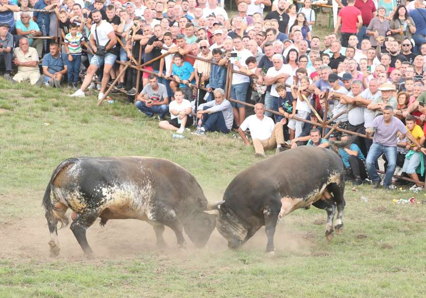 FOTO: SINIŠA PAŠALIĆ/RINGIER