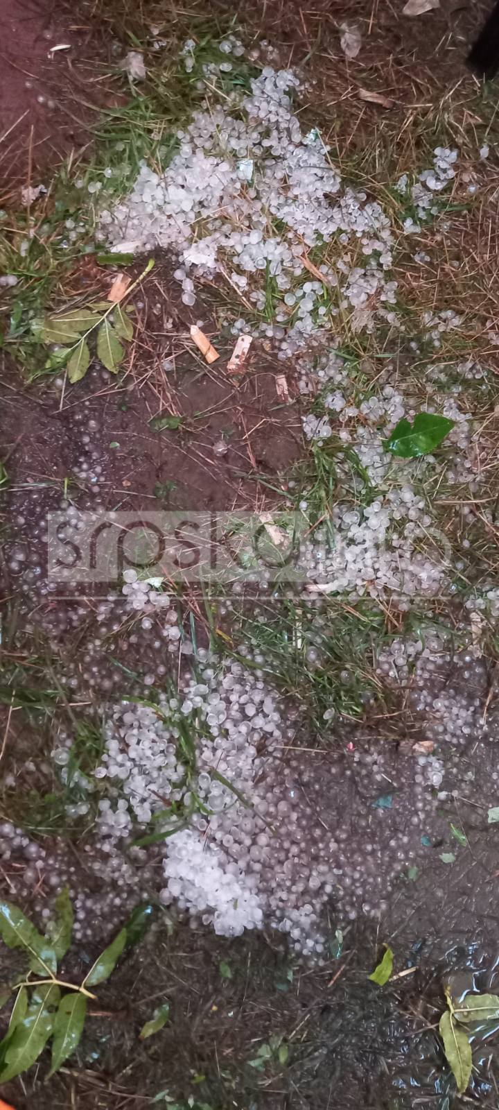 FOTO: USTUPLJENA FOTOGRAFIJA
