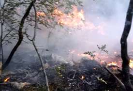 Požar na Hvaru pod kontrolom: Lokalizovan požar između Vrbanja i Dola