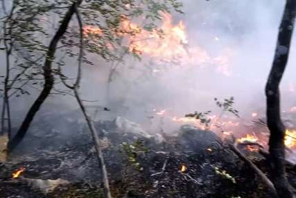 Buktinja kod Trebinja: Požar u rejonu Bijele gore spušta se prema selima