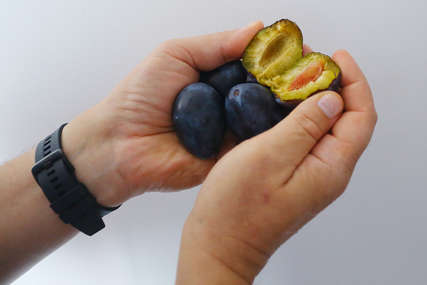 Kakav rod i kvalitet voća će biti zbog BLAGE ZIME "Pojedine sorte šljive u Srpskoj ove godine NEĆE NI CVJETATI"