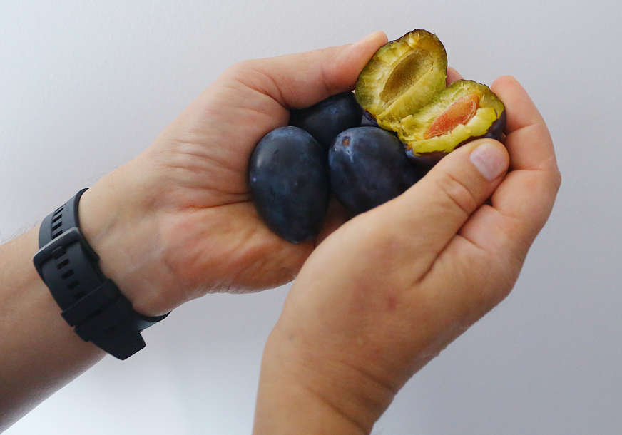 Kakav rod i kvalitet voća će biti zbog BLAGE ZIME "Pojedine sorte šljive u Srpskoj ove godine NEĆE NI CVJETATI"