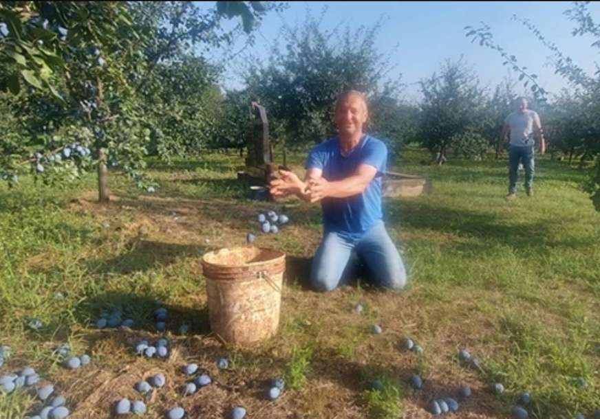 Nesvakidašnja posljednja želja: Deda Žiku sahranili u šljiviku