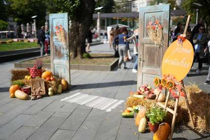Jesenja oaza u centru grada: Na Festivalu cvijeća i plodova 30 izlagača (FOTO)