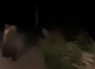 "Bježi kući" Medvjed prošetao sa mladunčetom između kuća (VIDEO)