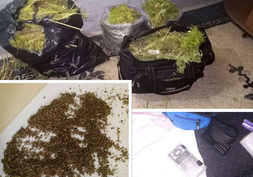 Potraga za osumnjičenim: U pretresu kuće kod Doboja zaplijenjeno blizu 20 kilograma marihuane