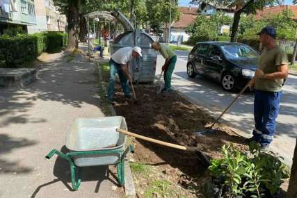 Nadležne službe uljepšavaju mjesta oko kontejnera sadnjom drveća "Zajedno možemo doprinijeti uređenijem i ljepšem izgledu naših ulica"