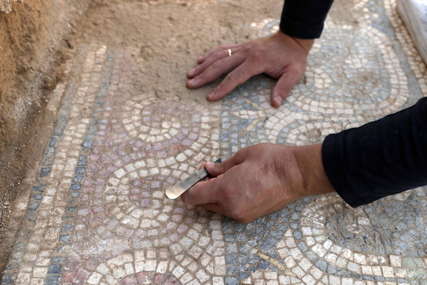 Htio da zasadi drvo, pa našao pravo blago: Mozaik iz vizantijskog doba otkriven u pojasu Gaze (FOTO)