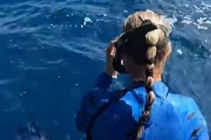 Za dlaku izbjegla ugriz morskog psa: Krenula uskočiti u more, a onda se pred njom stvorile velike ajkule (VIDEO)