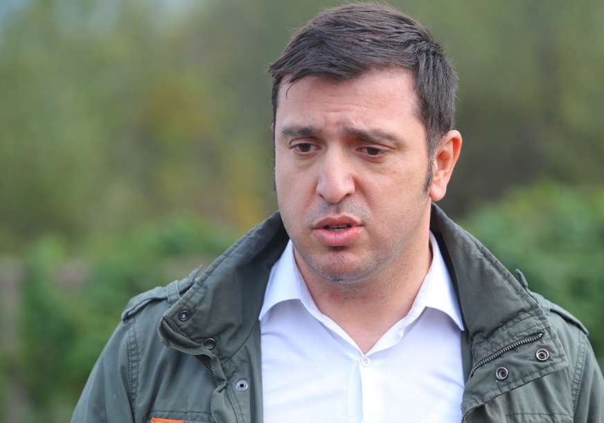 GUBITNIK DANA Admir Čavka