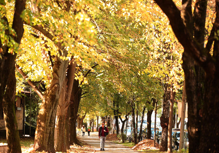 Uživajte u bojama jeseni: U BiH danas pretežno sunčano uz malu do umjerenu oblačnost