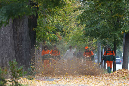 Radnici Čistoće čiste lišće