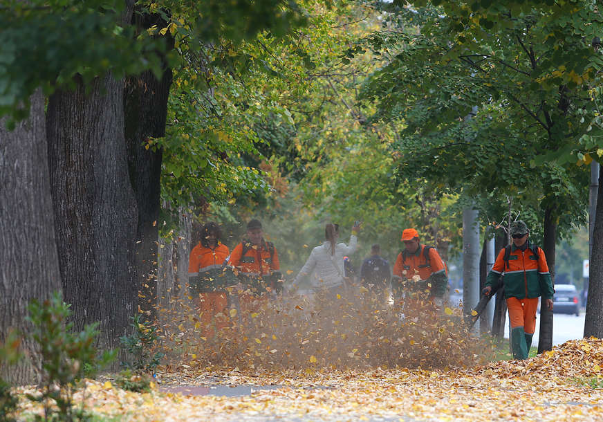 Radnici Čistoće čiste lišće