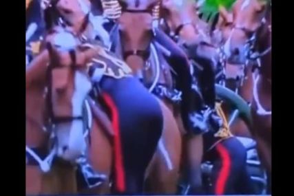 “Kad slažeš i dobiješ posao” Gledaoce nasmijao kraljev konjanik koji se jedva popeo na konja (VIDEO)