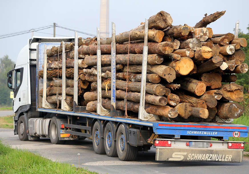 Spasla se pukom srećom: Preko šumske radnice prešao trupac težak 700 kilograma