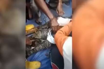 JEZIVI PRIZORI U Indoneziji piton usmrtio ženu i cijelu je progutao (VIDEO)