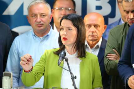 "Nikakvo rješenje o zabrani šetnje nismo dobili" PDP optužila Viškovića da dezinformiše javnost