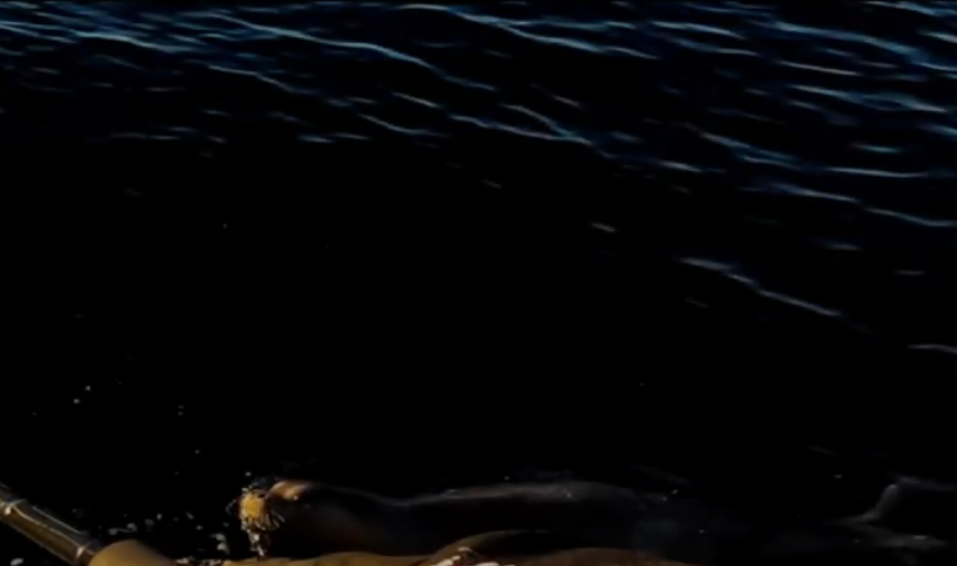 SREDOZEMNA MEDVJEDICA Najugroženiji sisar na svijetu snimljen na Jadranu (VIDEO)