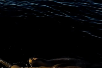 SREDOZEMNA MEDVJEDICA Najugroženiji sisar na svijetu snimljen na Jadranu (VIDEO)
