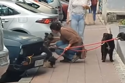 "JESI NORMALNA?!" Žena maltretira psa, ljudi joj prišli, ona počela da viče (VIDEO)