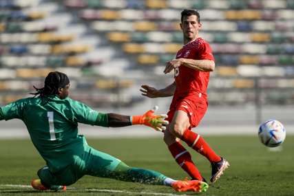 Prvi duel: Švajcarska i Kamerun otvaraju takmičenje u grupi G