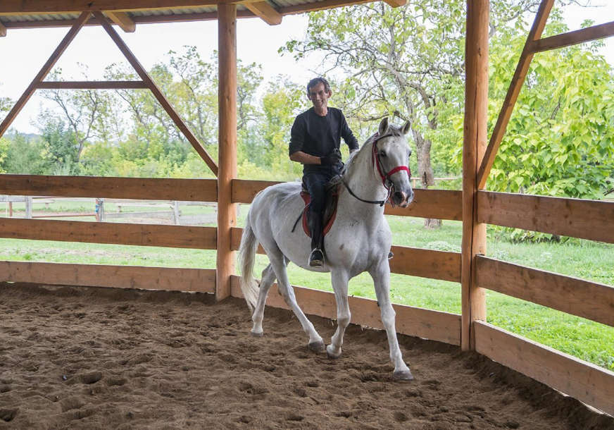 Konji lipicaneri ponovo idu na licitaciju: Prnjavorska ergela “Vučijak” ponovo prodaje višak konja