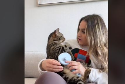 Tražio utjehu u zagrljaju: Žena odglumila da je povrijedila mačka, pogledajte kako je reagovao (VIDEO)