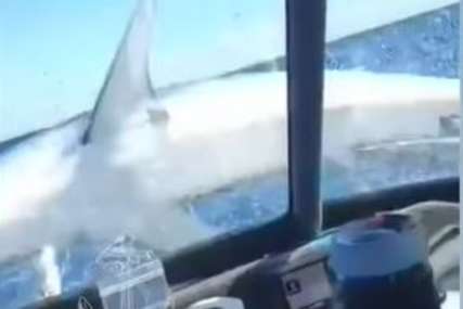 Nevolje na pecanju: Morski pas im je prvo zagrizao mamac, a onda skočio na brod (VIDEO)